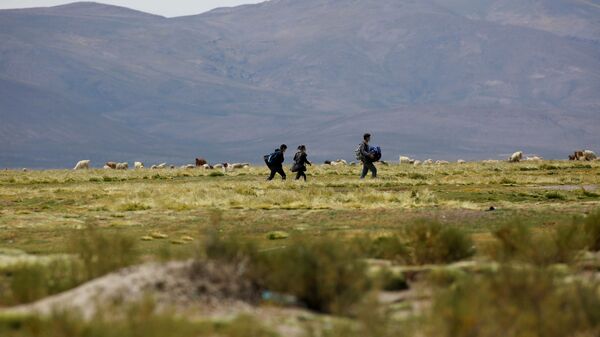 Migrantes en la frontera entre Chile y Bolivia - Sputnik Mundo