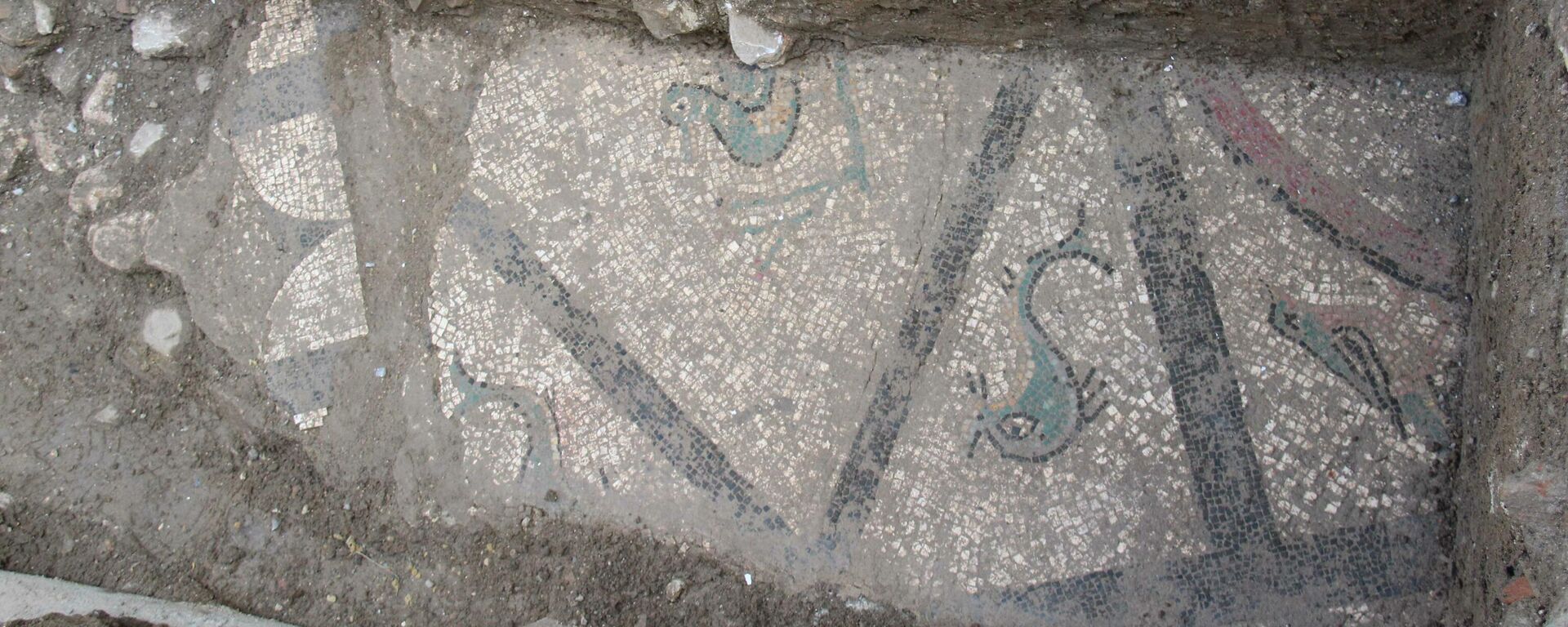 Mosaico romano hallado en 2021 en Cártama - Sputnik Mundo, 1920, 17.02.2021