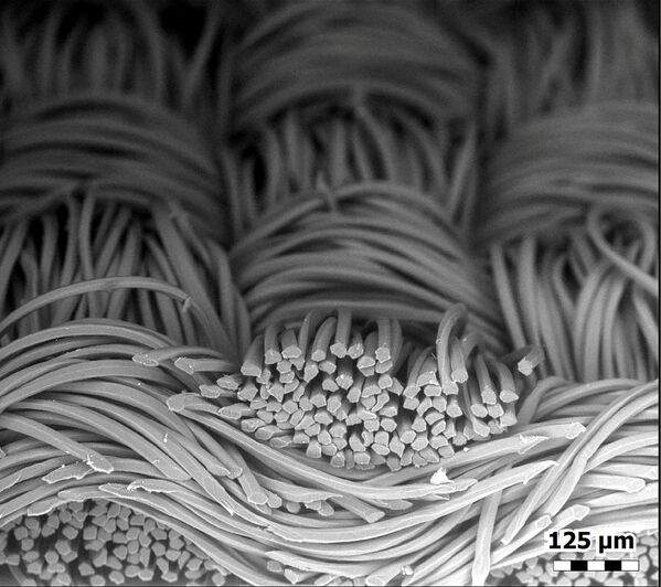 Las fibras de una mascarilla de poliéster bajo el microscopio. - Sputnik Mundo