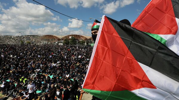 Árabes israelíes protestan contra violencia policial en Israel - Sputnik Mundo
