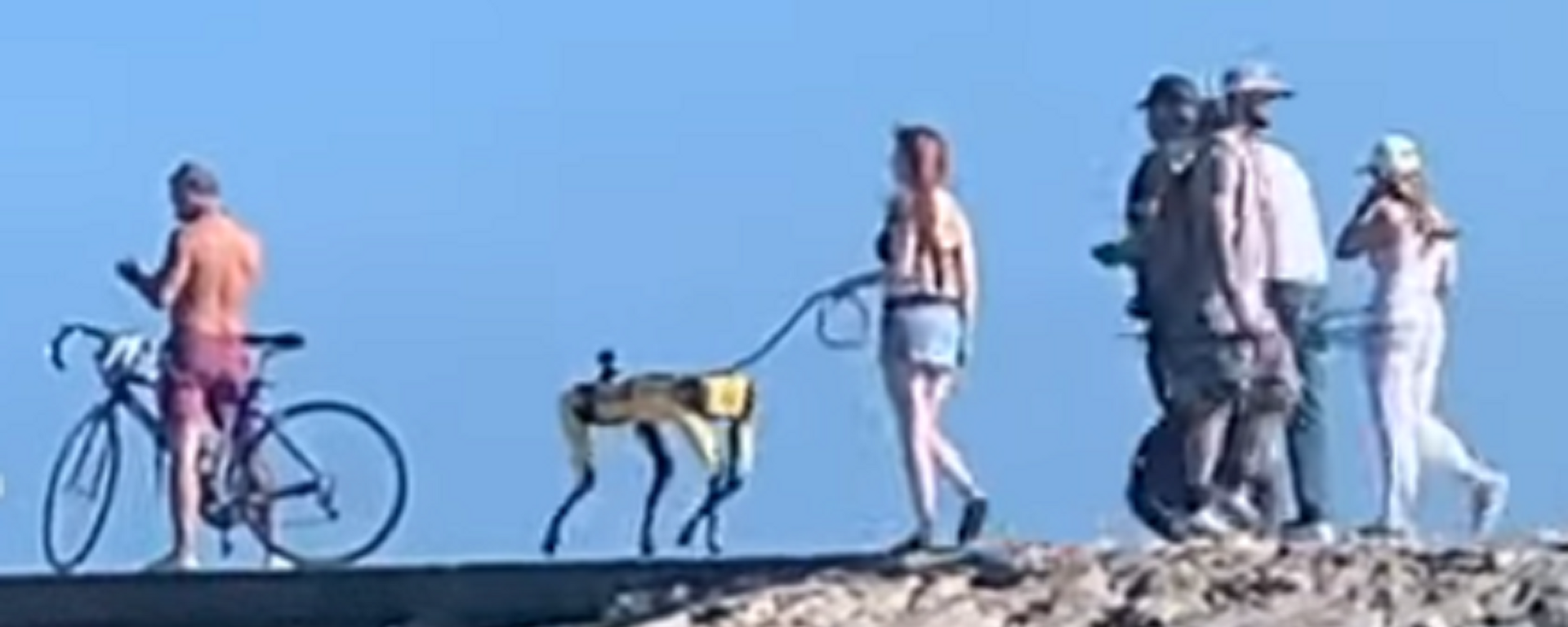 Una mujer pasea a su perro robótico - Sputnik Mundo, 1920, 13.03.2021