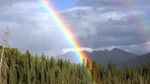 Un arcoíris. Imagen referencial - Sputnik Mundo