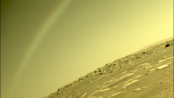 El rover Mars Perseverance de la NASA utilizó su cámara trasera para tomar esta imagen - Sputnik Mundo