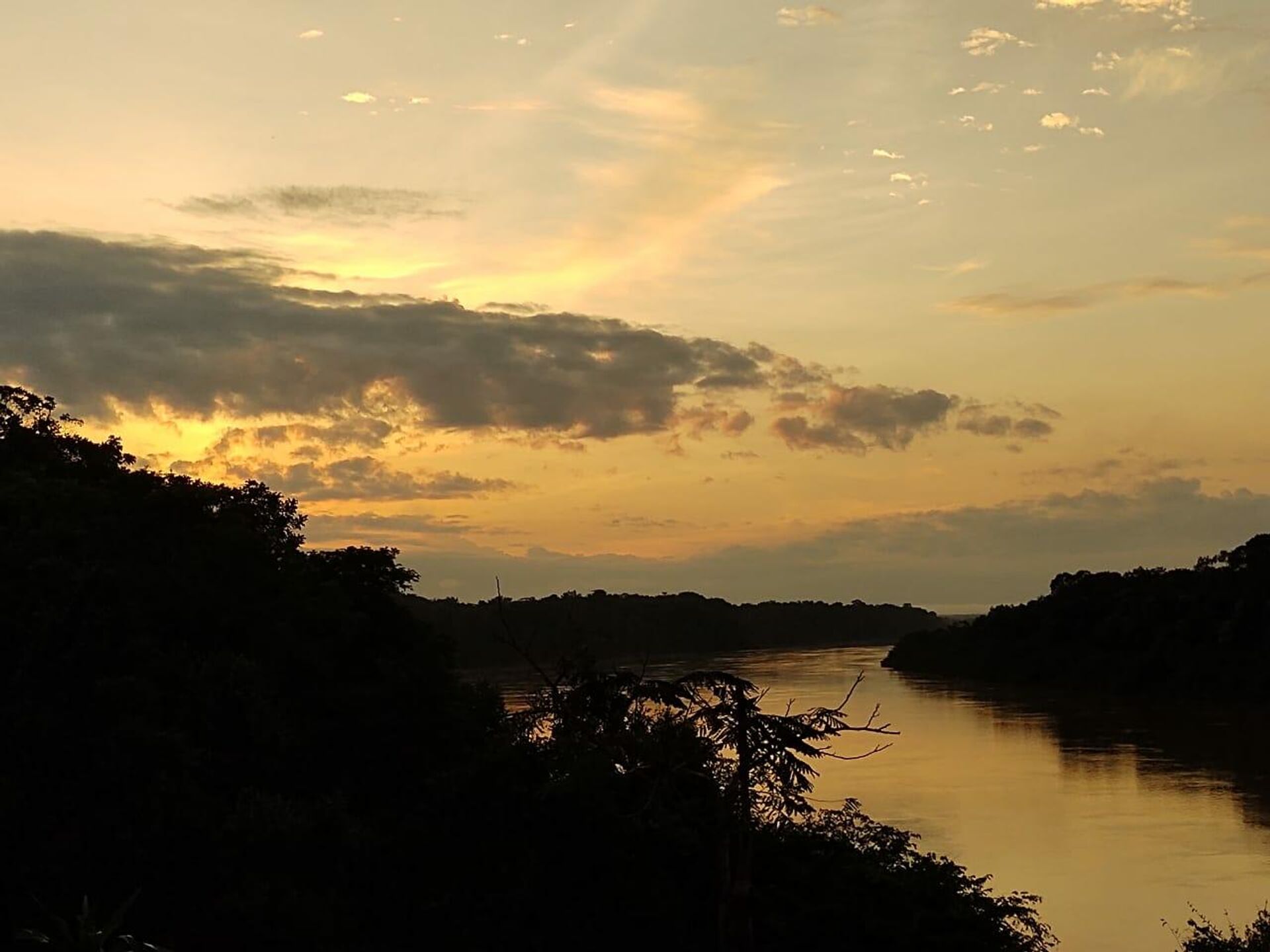 El río Orinoco atraviesa el Vichada - Sputnik Mundo, 1920, 21.04.2021