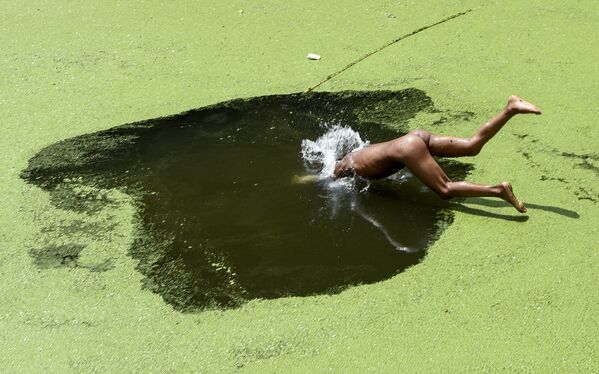 Un niño se sumerge en un estanque cubierto de algas en las afueras de Katmandú, Nepal. - Sputnik Mundo