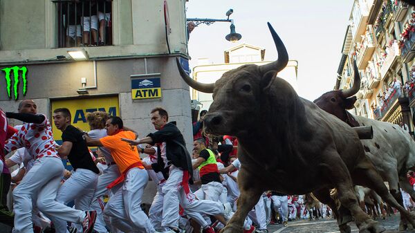 Foto de archivo. Los participantes corren junto a toros de lidia y novillos en una corrida de toros durante la fiesta de San Fermín en Pamplona - Sputnik Mundo