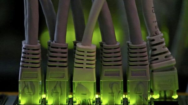 Los cables de la red LAN conectados a un servidor informático de minería de criptomonedas - Sputnik Mundo