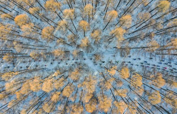 &#x27;Esquí  en primavera&#x27;, Chang XU, China. - Sputnik Mundo