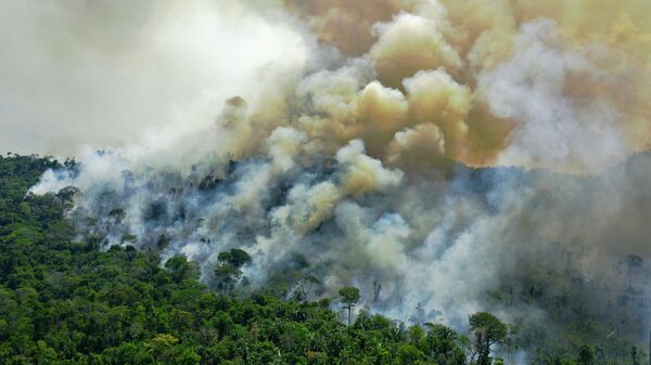 Incendio en la Amazonía brasileña - Sputnik Mundo
