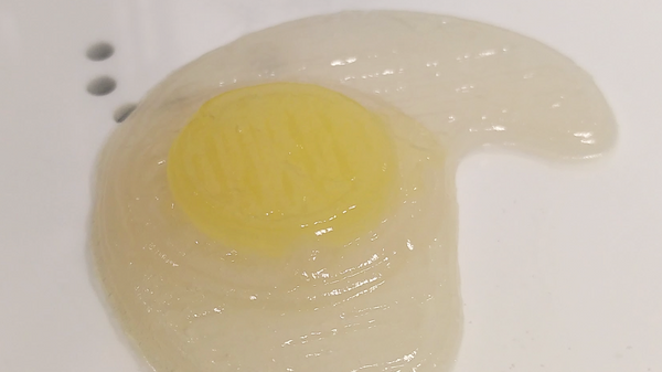 Simulación de huevo con impresora 3D - Sputnik Mundo