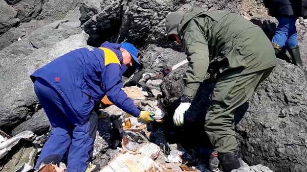 Trabajos de búsqueda en el lugar de siniestro del avión ruso An-26 en Kamchatka - Sputnik Mundo