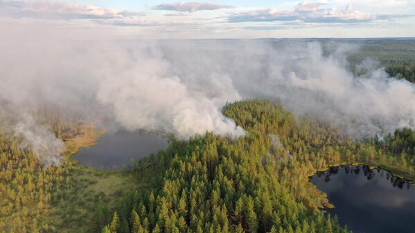 Las altas temperaturas del verano boreal también han causado estragos en el noreste de Rusia. En la foto: los incendios forestales se devoran a los frondosos bosques siberianos, en Karelia, Rusia. - Sputnik Mundo