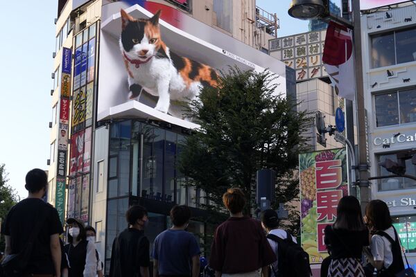 La gente camina sorprendida junto a un video publicitario en 3D de un gato gigante que se instaló recientemente en el famoso distrito comercial de Shinjuku, en Tokio. - Sputnik Mundo