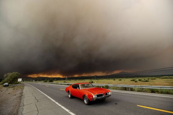 El estado de California, EEUU, está entre los más afectados por los incendios forestales a causa de la ola de calor, la sequía y los vientos. En la foto: un coche sale de Chester, California, para alejarse de los voraces incendios. - Sputnik Mundo