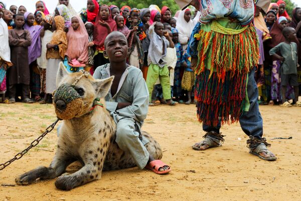 Una hiena adiestrada participa en un espectáculo circense en Kenia. - Sputnik Mundo