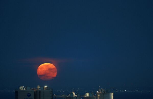 La próxima luna azul, en el sentido de dos lunas llenas en el mismo mes, ocurrirá en aproximadamente dos años, el 31 de agosto de 2023.En la foto: la luna de esturión sobre la bahía de Tokio, en Tokio (Japón). - Sputnik Mundo