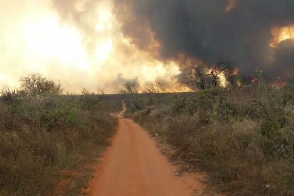 Incendios forestales en Reboré, Santa Cruz, Bolivia - Sputnik Mundo
