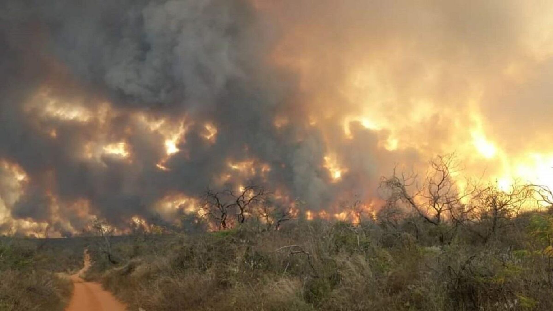 Incendios forestales en Reboré, Santa Cruz, Bolivia - Sputnik Mundo, 1920, 09.12.2022