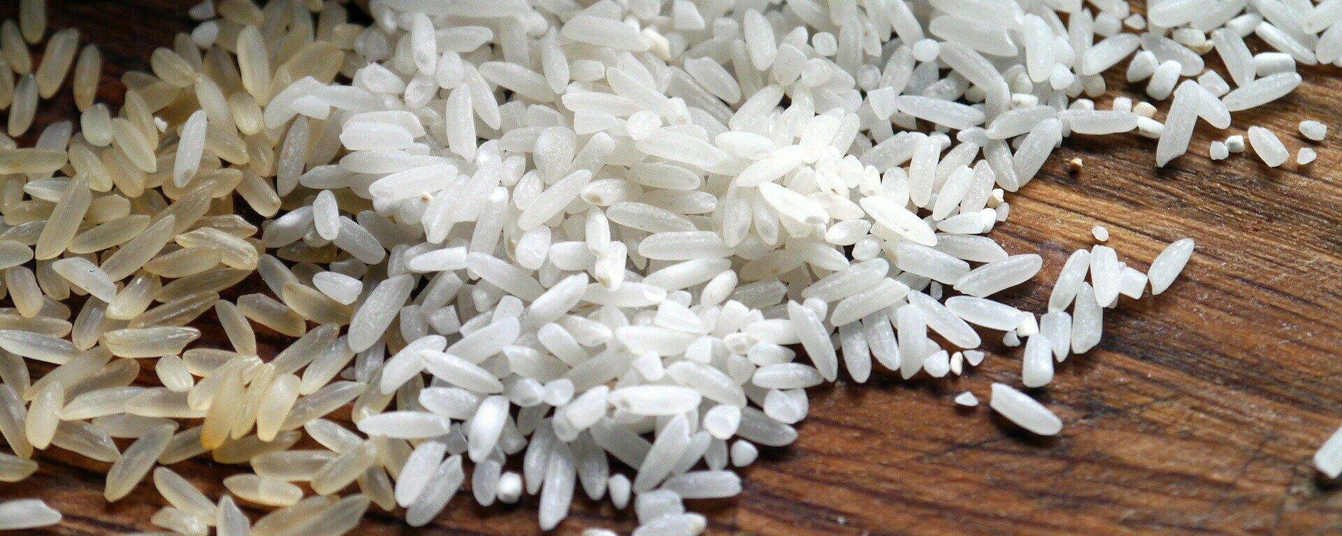 Arroz Arroz - Sputnik Mundo, 1920, 24.08.2021