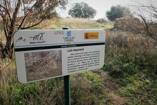 Panel en Las Tablas de Daimiel, Parque Natural de Ciudad Real (España) - Sputnik Mundo