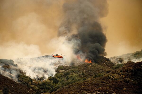 La extinción de un incendio forestal en el Parque nacional de las Secuoyas en California (Estados Unidos). - Sputnik Mundo