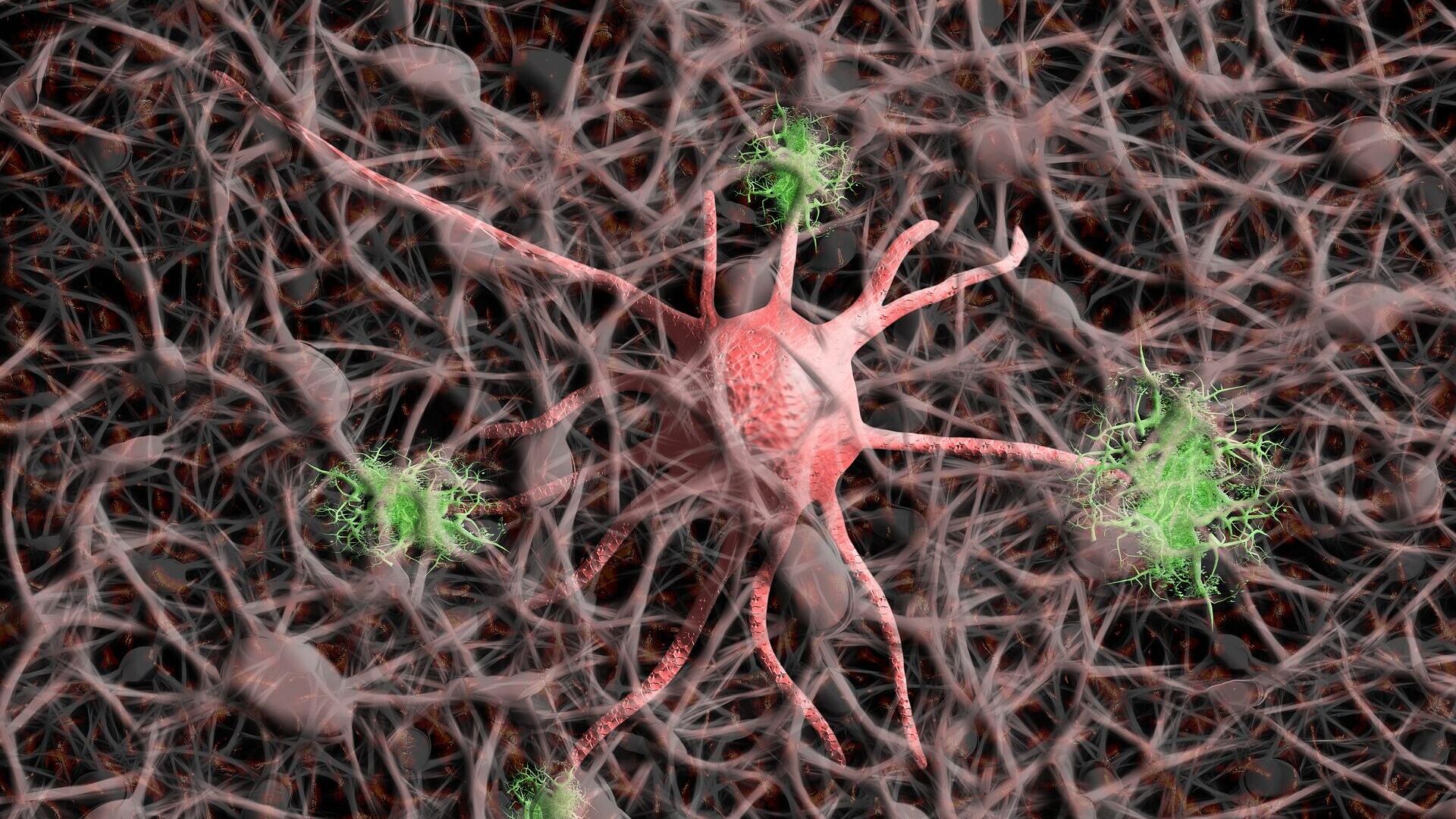 Neuronas (imagen referencial) - Sputnik Mundo, 1920, 19.09.2021