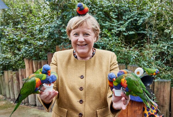 La canciller alemana Angela Merkel visita el Parque de las Aves de Marlow, en el norte de Alemania. - Sputnik Mundo