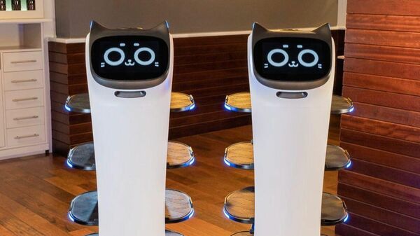 Holabot y Bellabot, los robots camareros de El Pòsit de Cambrils  - Sputnik Mundo