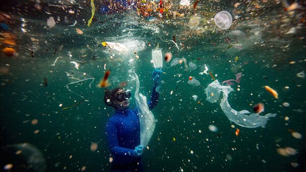 Nuevo peligro para la vida subacuática: residuos de COVID-19, la fotografía individual, uno de los ganadores del Gran Premio del Concurso Internacional de Fotoperiodismo Andréi Stenin. - Sputnik Mundo