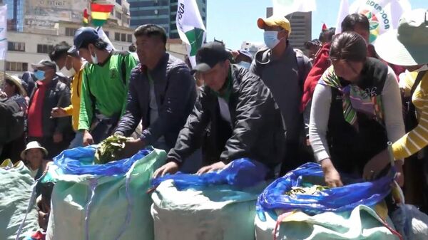 Cientos de cocaleros bolivianos se reúnen para romper el récord mundial de mascado de coca - Sputnik Mundo