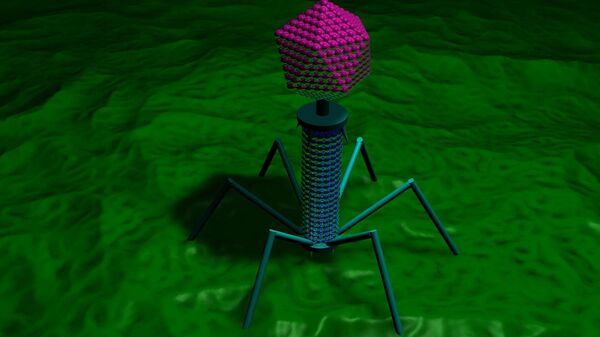 Bacteriófago - Sputnik Mundo