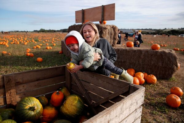 Una mujer y su hijo pequeño recogen calabazas en un campo de Pop Up Farm. - Sputnik Mundo