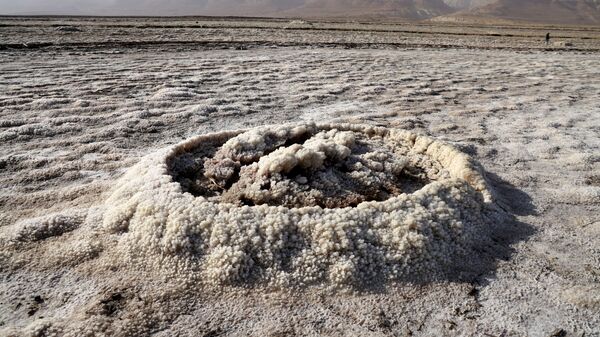 Кристаллизованные минералы высохшего морского участка южной части Мертвого моря - Sputnik Mundo