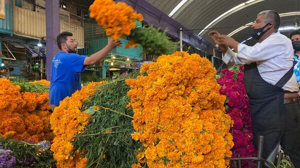 Comerciantes de flores ordenan el cempasúchitl en el mercado de Jamaica en Ciudad de México - Sputnik Mundo