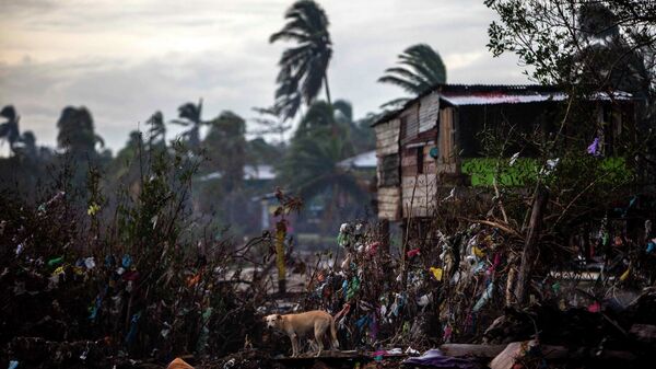 Consecuencias de la tormenta Eta en Nicaragua - Sputnik Mundo