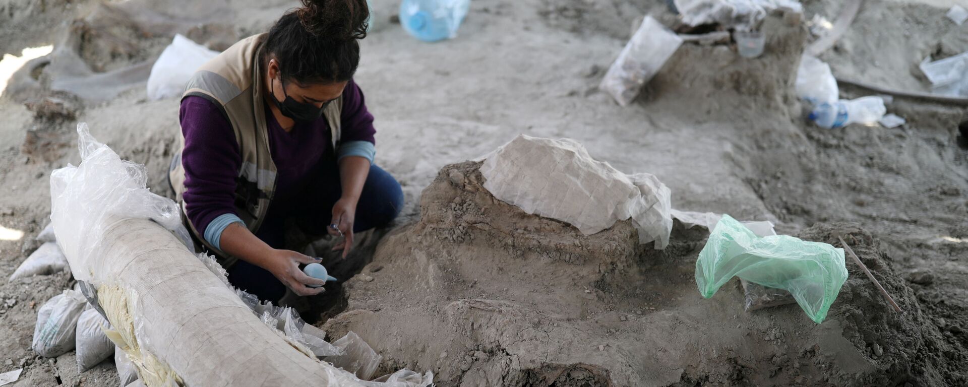 Сотрудник Национального института антропологии и истории Мексики (INAH) работает на месте, где были обнаружены скелеты мамонтов - Sputnik Mundo, 1920, 18.11.2021