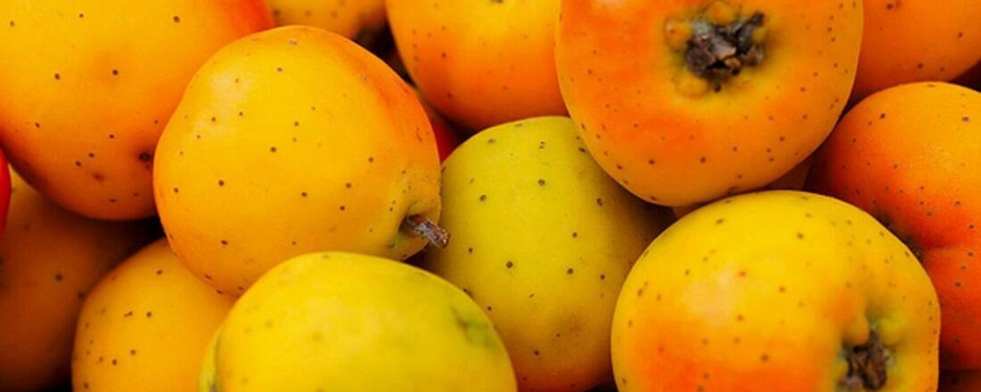 El tejocote es una fruta de temporada que se consume principalmente en temporada navideña  - Sputnik Mundo, 1920, 23.11.2021