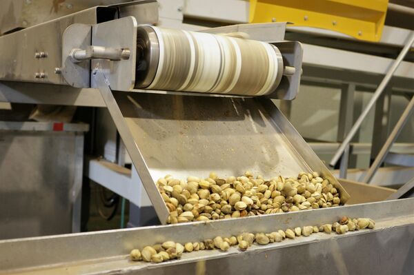 Procesamiento de pistachos en la compañía Green Pistachio, situada en Castilla-La Mancha (España) - Sputnik Mundo