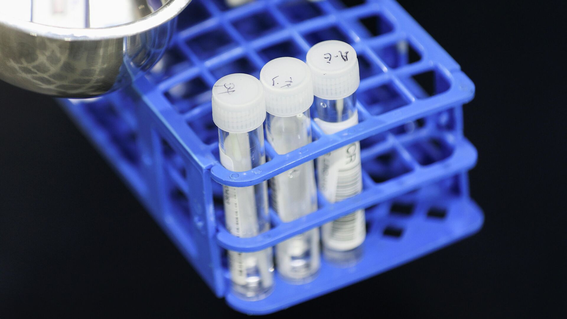 Un médico realiza pruebas RT-PCR en una instalación de prueba de COVID-19  - Sputnik Mundo, 1920, 04.12.2021