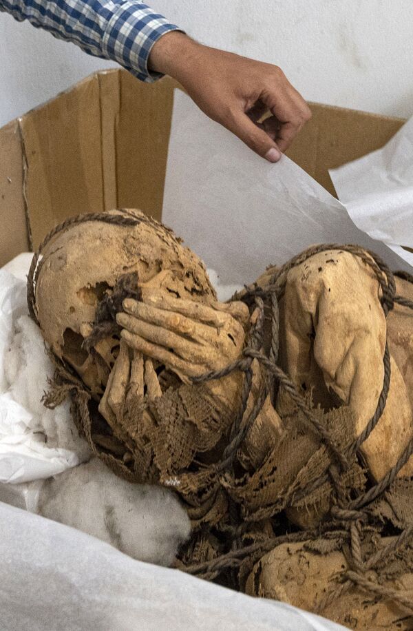 Los arqueólogos de la Universidad Nacional de San Marcos de Perú creen que los restos de esta momia pertenecen a un hombre que tenía entre 18 y 30 años en el momento de su muerte. La momia estaba dentro de una estructura funeraria subterránea ovalada de unos tres metros de largo, a la que se accedía por una escalera de siete peldaños. - Sputnik Mundo
