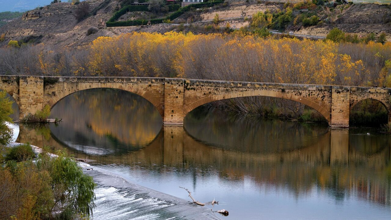 Cuáles son los afluentes del río ebro