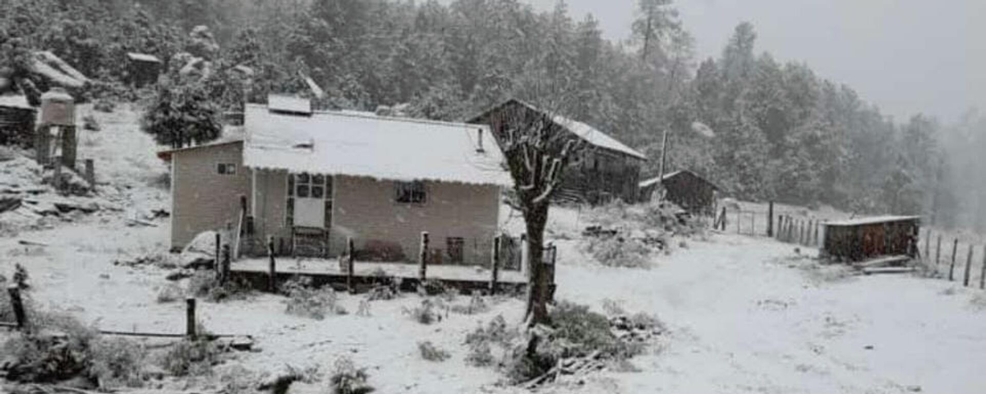Caída de nieve en Durango Caída de nieve en Durango - Sputnik Mundo, 1920, 20.12.2021