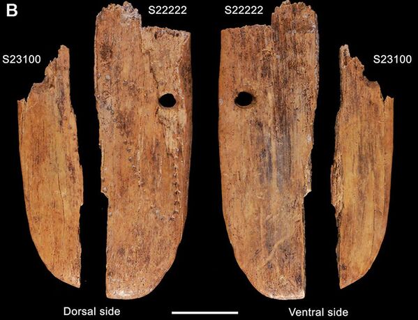 Los científicos establecieron que un colgante de hueso de mamut encontrado en la cueva de Stajnia en Polonia tiene 41.500 años. Hasta la fecha, es el objeto de arte de decoración más antiguo creado por un ser humano en el territorio de Eurasia. - Sputnik Mundo