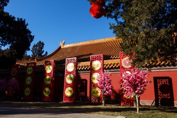 Los atletas que llegaron a Pekín con antelación pudieron participar en las celebraciones del Año Nuevo chino.En la foto: decorado para el Año Nuevo Chino en el Parque del Templo de la Tierra de Pekín. - Sputnik Mundo