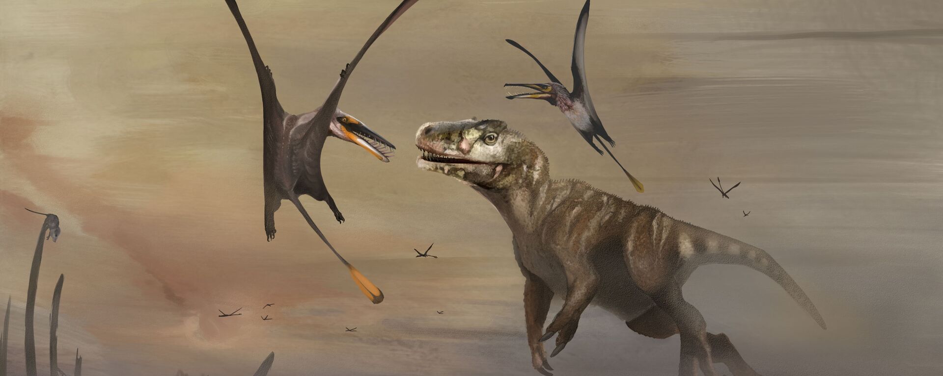 Птерозавр «Дирк сгиатанах», чья окаменелость возрастом примерно 170 миллионов лет была найдена на шотландском острове Скай - Sputnik Mundo, 1920, 24.02.2022