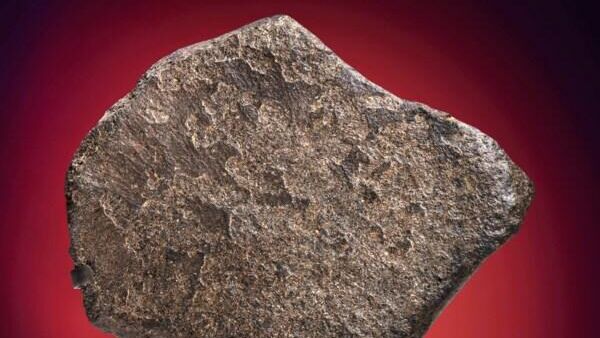 La tercera roca más grande proveniente de Marte intentó ser subastada - Sputnik Mundo