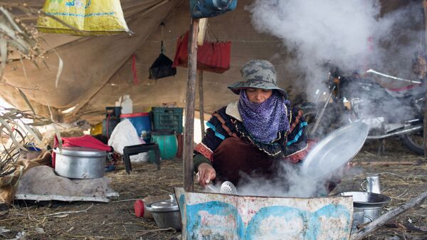 Женщина-бедуинка готовит еду в своей палатке у шоссе, ведущего в Каир в египетской провинции Кафр-Эль-Шейх в дельте Нила, Египет - Sputnik Mundo