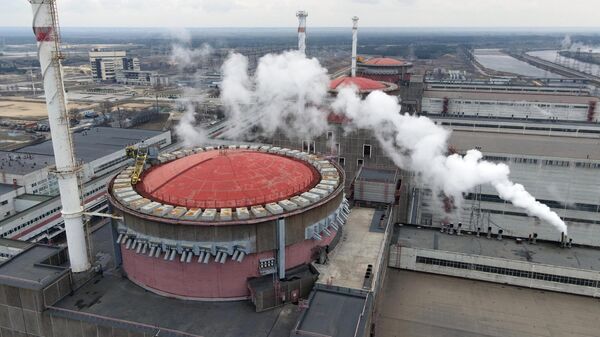 La central nuclear de Zaporiyia - Sputnik Mundo