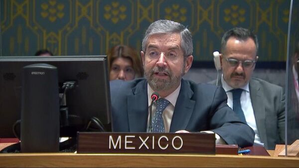 Juan Ramón de la Fuente, embajador de México ante las Naciones Unidas - Sputnik Mundo
