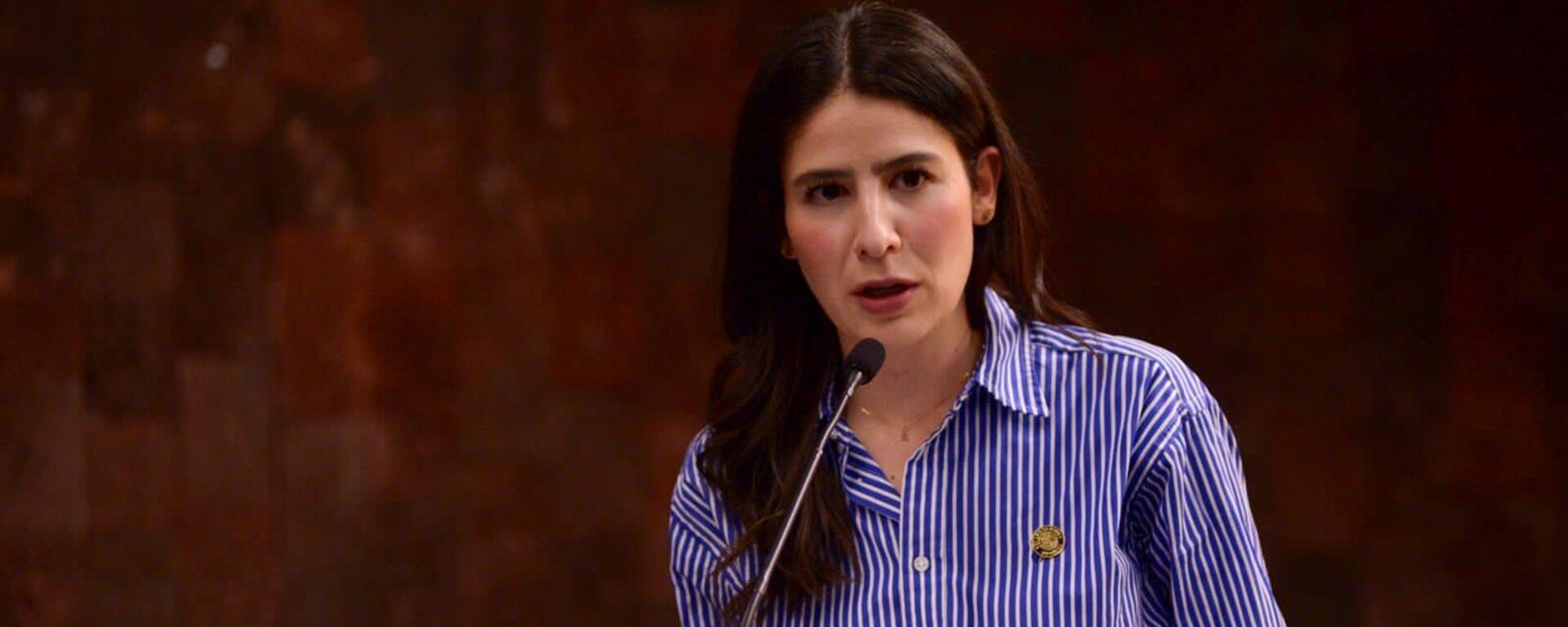 Alexis Gamiño, diputada expulsada del Partido Verde Ecologista de México (PVEM) Alexis Gamiño, diputada expulsada del Partido Verde Ecologista de México (PVEM) - Sputnik Mundo, 1920, 19.04.2022